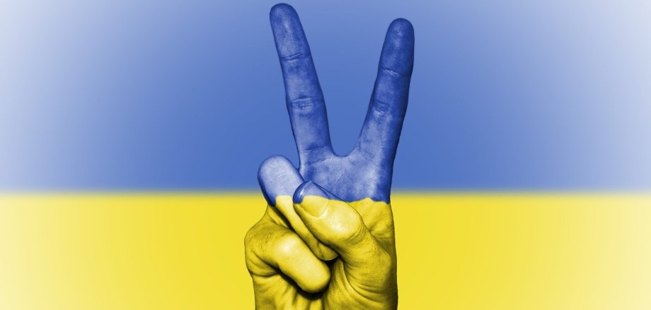 Ukrainische Flagge